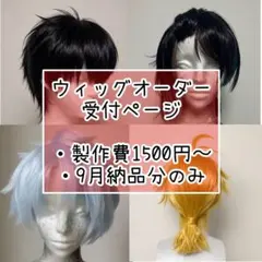 ウィッグオーダー　受付ページ　９月納品分のみのサムネイル