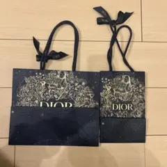 Dior ショップ袋 大小セット