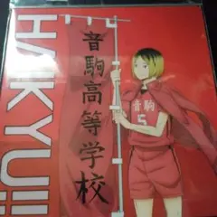 ハイキュー クリアファイル 3枚セット 音駒高校