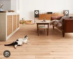 Item thumbnail for item 4884ad8c-4a44-4db7-919a-327001d66fcd