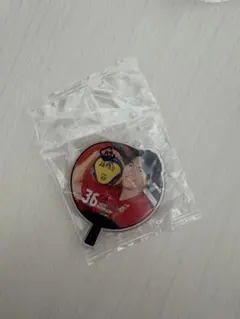 バレーボール男子日本代表　うちわアクリルチャーム　水町泰社　ガチャガチャ