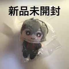 あたたかくなる あたなる ちぃぬい ぬい マスコット 四宮伊織（新品未開封）