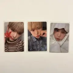 &TEAM HARUA 十五夜