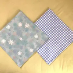 Item thumbnail for item a16d99cf-f03c-46b8-b4ff-9d13d7950288