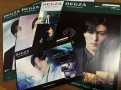 REGZA 目黒蓮 パンフレット 5枚セット
