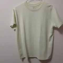 ゴールデンベア 半袖Tシャツ ライトグリーンのサムネイル