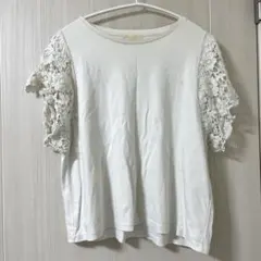 Item thumbnail for item 150de5fb-7c9e-4ad5-b6b4-0fbe12632f6f