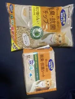 Item thumbnail for item 99f46bb5-0d1e-4509-bdb2-b8c5fad79072