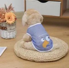 【新品未開封】 犬 服 ペット 洋服 メッシュ キャラ 小型犬 夏服 涼しいのサムネイル