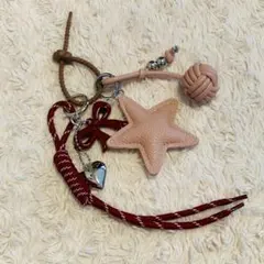 じゃらじゃらキーホルダー　バッグチャーム　リボン　星　赤　バレンタイン　ギフト