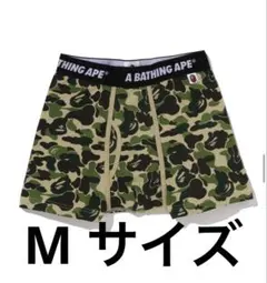 Item thumbnail for item 69fd2ab5-a28b-4a98-b41d-a667150ce27a