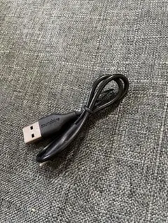Soundcore Liberty Neo 2 付属 USB-C 充電ケーブル