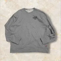 す*も様 Levi's スウェットトレーナー US プルオーバー 肉厚 L