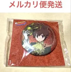 家庭教師ヒットマン リボーン 沢田綱吉 ホログラム缶バッジ 仮面舞踏会　ツナ