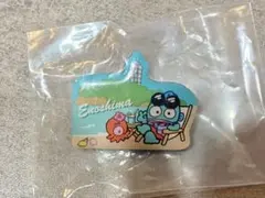 ハンギョドン ピンバッジ (江ノ島,鎌倉限定)