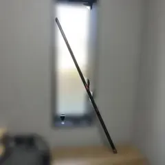 Item thumbnail for item 097ef21e-fb54-4b0c-980b-997ebf1272ce