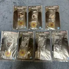 【コンプセット】一番くじ　デスノート　 H賞 アクリルチャーム