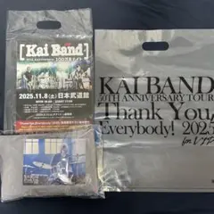 甲斐バンドグッズセット 甲斐バンドグッズセット - メルカリ