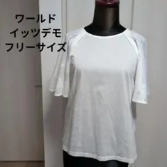 ワールド・ITS'DEMO 袖レースカットソー　Tシャツ　白　ホワイト　Fのサムネイル
