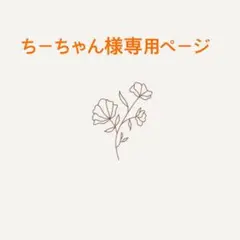 ちーちゃん様専用ページ
