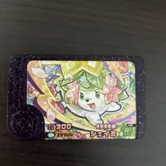 シェイミ　ポケモン　フレンダ　2弾