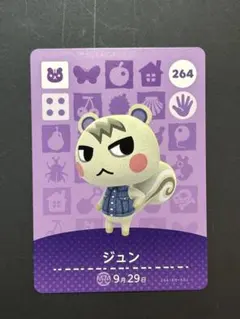 2025年最新】amiibo じゅんの人気アイテム - メルカリ