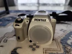 2026年最新】pentax k-s2の人気アイテム - メルカリ