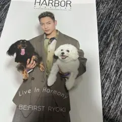 HARBOUR MAGAZINE 2023年12月号