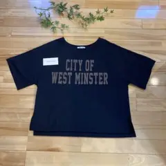 ナチュラルビューティーベーシック　M Tシャツ　ネイビー　紺　ロゴ