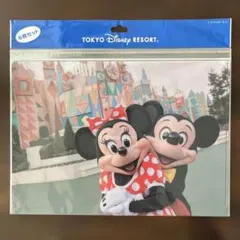 東京ディズニーリゾート 旧フェイス クリアホルダー 6枚セット