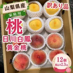 山梨県産　訳あり　家庭用　桃　日川白鳳　黄金桃　12個　箱込み2.3kg ⑤のサムネイル
