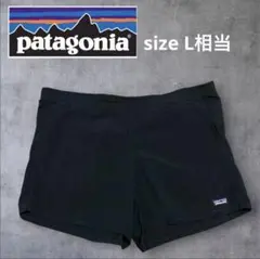 【人気】Patagonia ショートパンツ ナイロンショーツ 黒 水陸両用のサムネイル