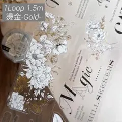 Item thumbnail for item a27df6b8-7d5e-4695-8319-bfcd0ed92b43