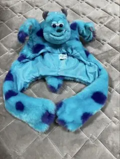 サリー　ファンキャップ