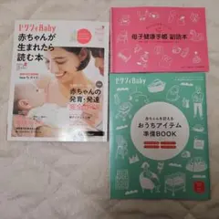 Item thumbnail for item e6de20f0-7a68-43d7-9ce1-b723ee67e8ea