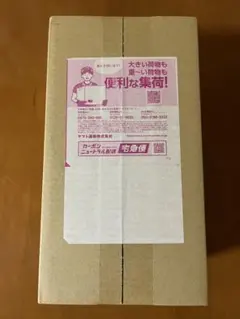 ポケモンセンター　フクオカスペシャルボックス