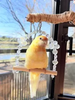 Item thumbnail for item 7ccb10f6-bc67-4390-9f1d-0d5636281bba