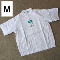 Item thumbnail for item 7c8fa834-66fc-41d1-8e4a-7328a9d776f3