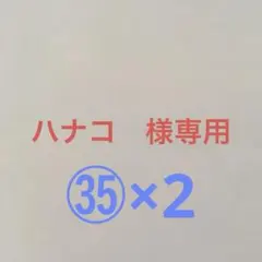 ハナコ様 リクエスト 2点 まとめ商品