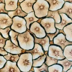 Item thumbnail for item 5e1c999d-da80-4d8c-ba24-4907055fbe62