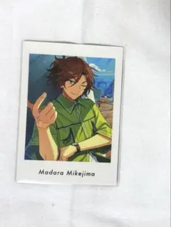 三毛縞斑 ぱしゃっつ vol.6 private