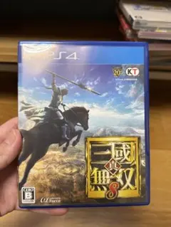 真・三國無双8