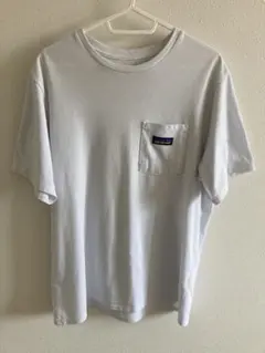patagonia Sサイズ Tシャツ Responsibili-Tee
