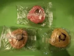 シードエグズ まとめ売り