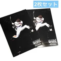 Mrs. GREEN APPLE SHADOWS 若井滉斗 フォトカード 021