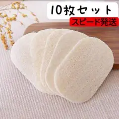 スピード発送10枚セットへちまたわし スポンジ　乾燥ヘチマ エコスポンジ天然素材