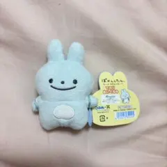 ぽかんとたん てのりぬいぐるみ サンエックス