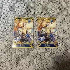 FGO アーケード ネモ/ノア 第一再臨/最終再臨 フェイタル セット