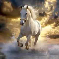 Item thumbnail for item df0d674e-ab0c-4fff-a0ad-63eea3b9c2b7