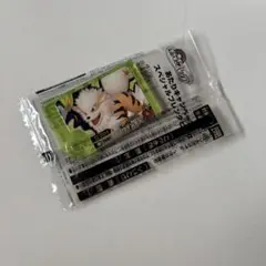 ポケモンフレンダ ベストタッグ２弾　あたりキャンペーン ウィンディ①